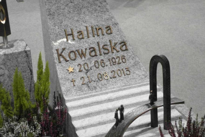 Výstava Kamien-Stone 2013